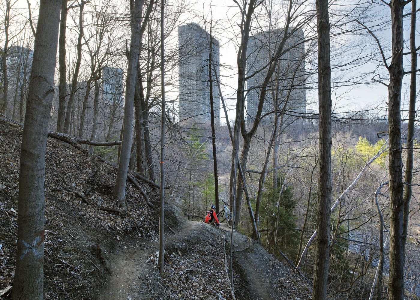 An Enduring Wilderness: Cyclists, E.T. Seton Park, Toronto