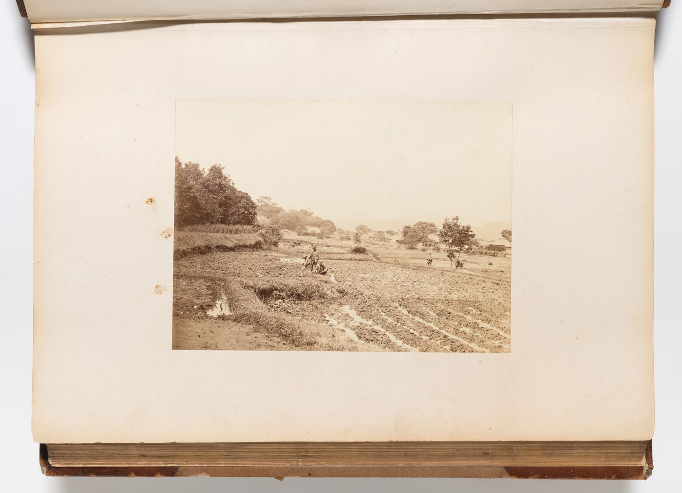 View of farmers in a field with a village in the background and Mount Fuji (also known as Fuji-san) in the distance, Chubu, Japan