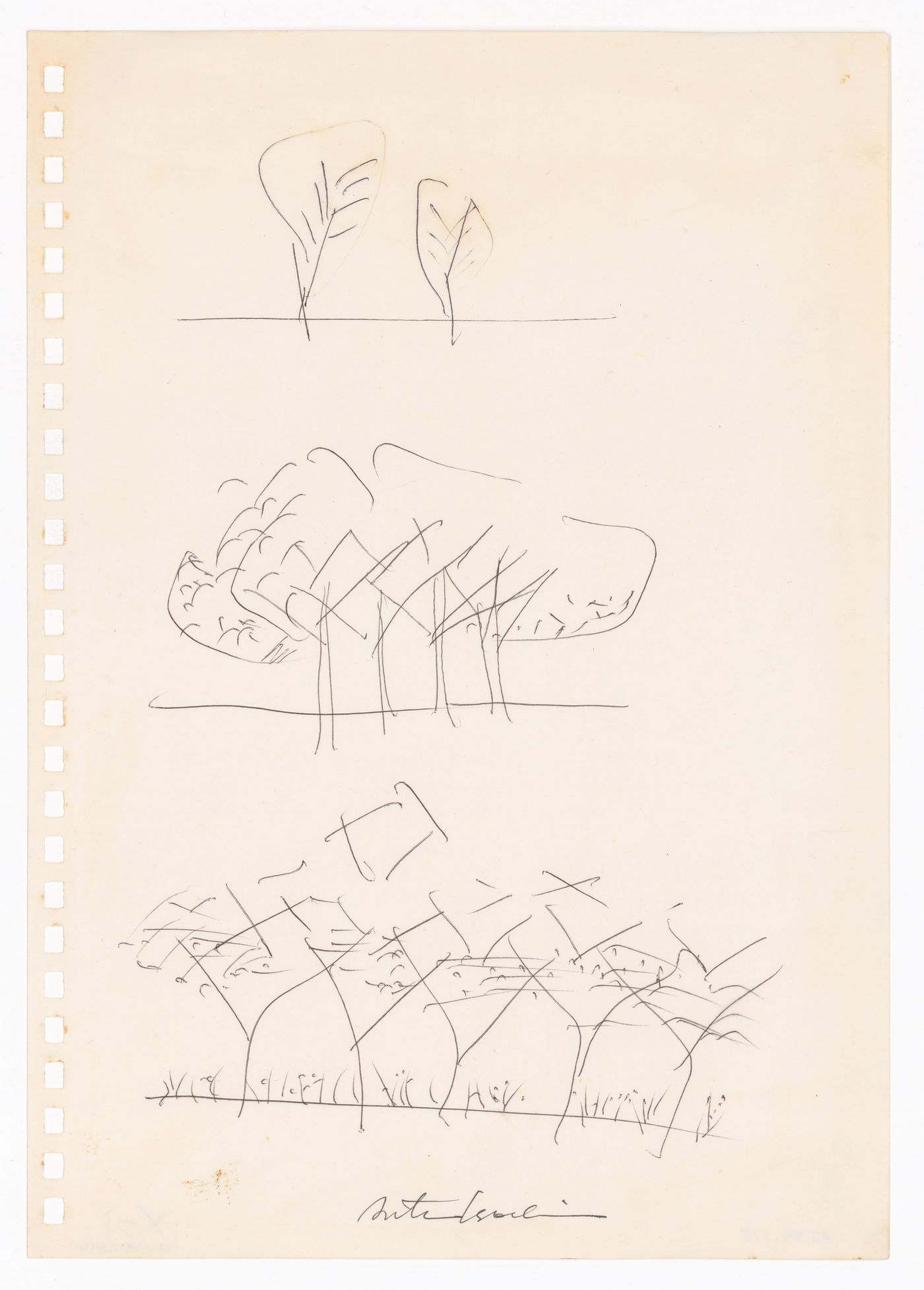 Sketch of a grouping of trees for the Clusters in the Air Project, Tokyo