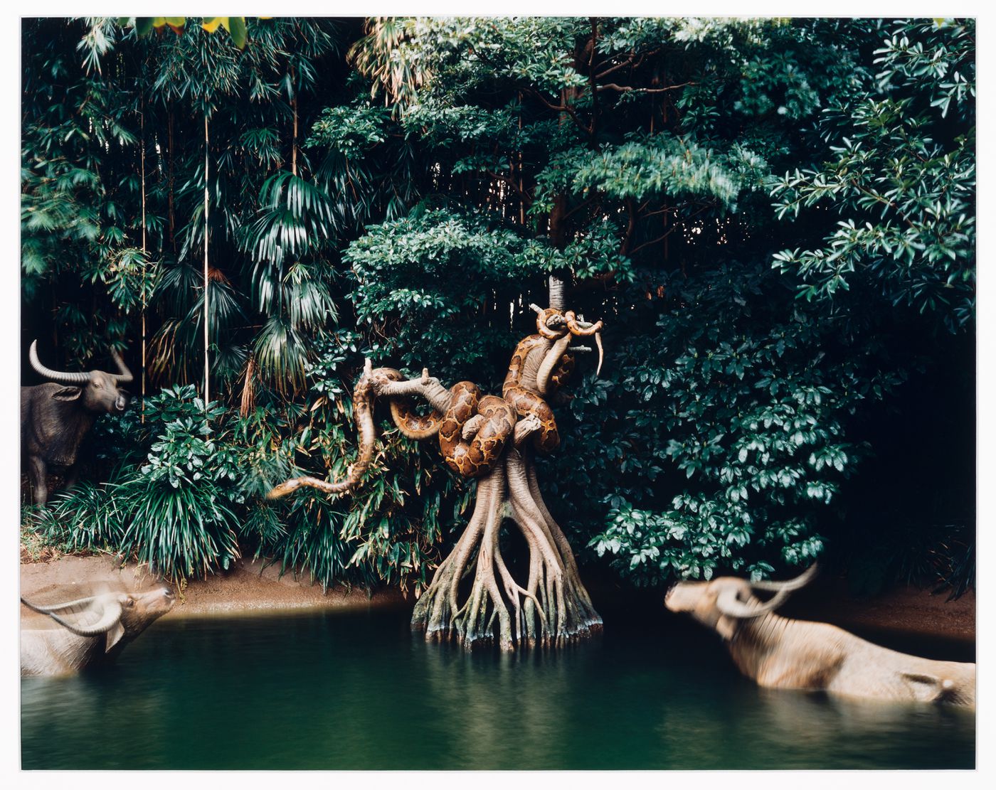 Jungle Cruise, Adventureland, Tokyo Disneyland, Japan