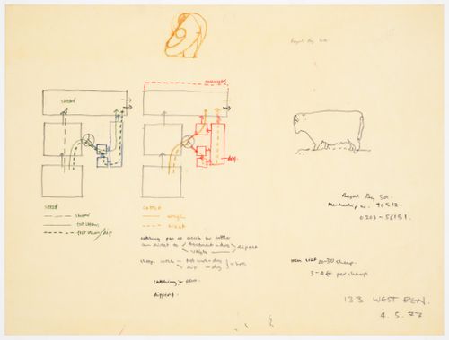 Westpen: diagrammatic sketches showing movement of cattle and sheep through the pen
