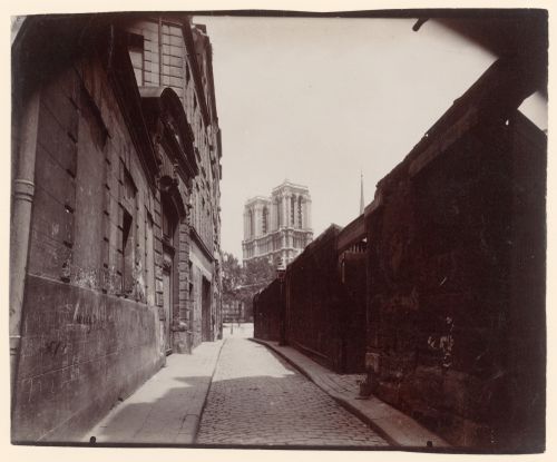 View of rue Saint Julien le Pauvre with Notre-Dame visible at the horizon, and cat in the foreground, Paris, France