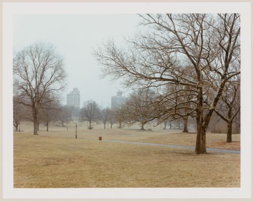 Viewing Olmsted: View of The Long Meadow, looking east, Prospect Park, Brooklyn, New York City, New York