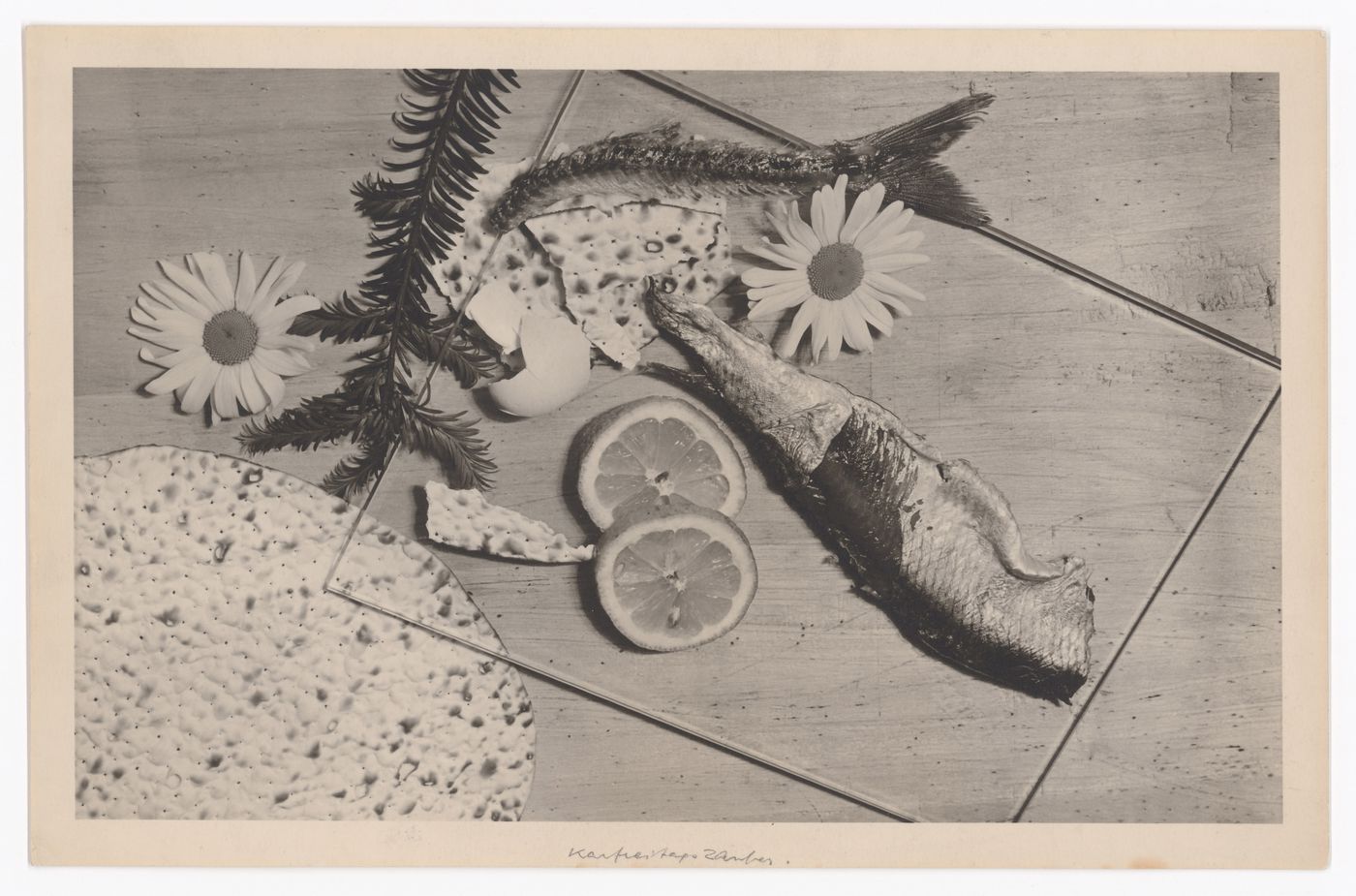 Still life by Walter Peterhans composed of fish skins and tail, matzah, lemon slices, egg shells, daisies, and an evergreen branch on a glass sheet, Bauhaus, Dessau, Germany