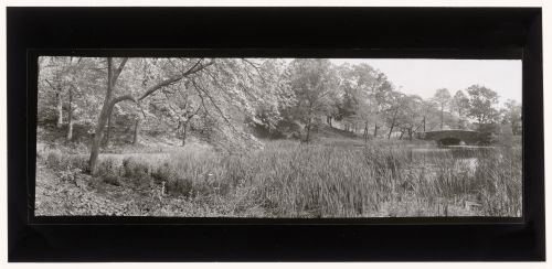 Scarboro Pond, Franklin Park, Boston, Massachusetts