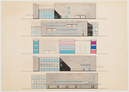 Domain competition: elevations and section