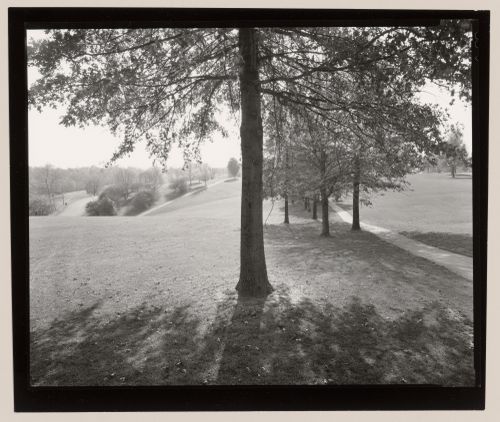 Looking from golf course, Cherokee Park, Louisville, Kentucky