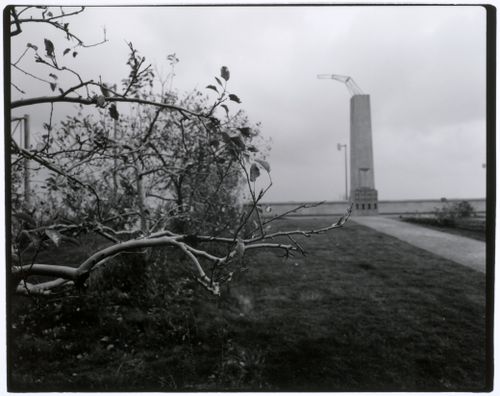 Close-up view of a tree branch showing an Allegorical Column in the background, Canadian Centre for Architecture Garden, Montréal, Québec, Canada