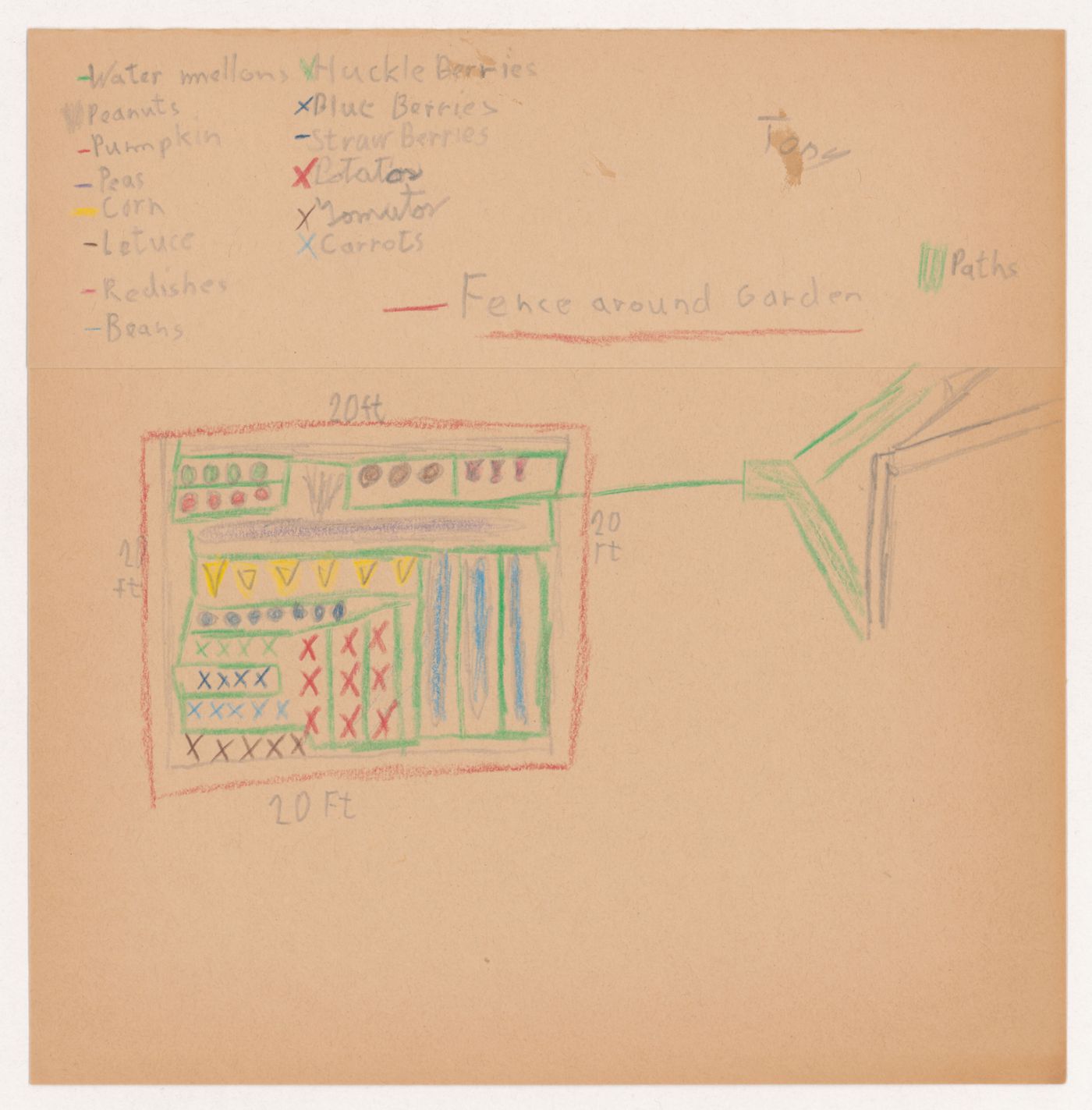 Child's drawing of the ideal fruits and vegetables garden