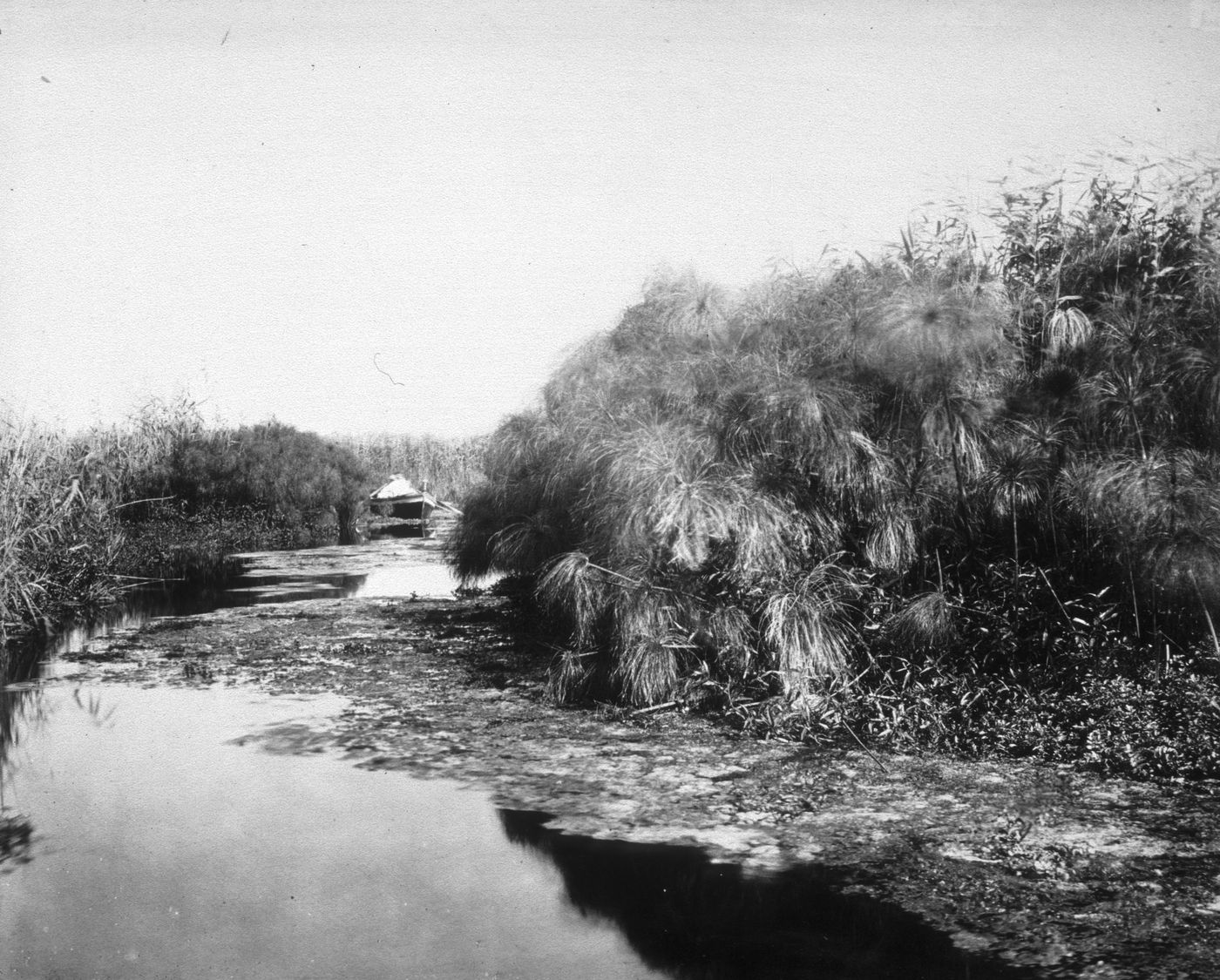Plate from album ''Views of Italy, Monaco, Algers, Lisbonne, Gibraltar and Montserrat by various photographers''