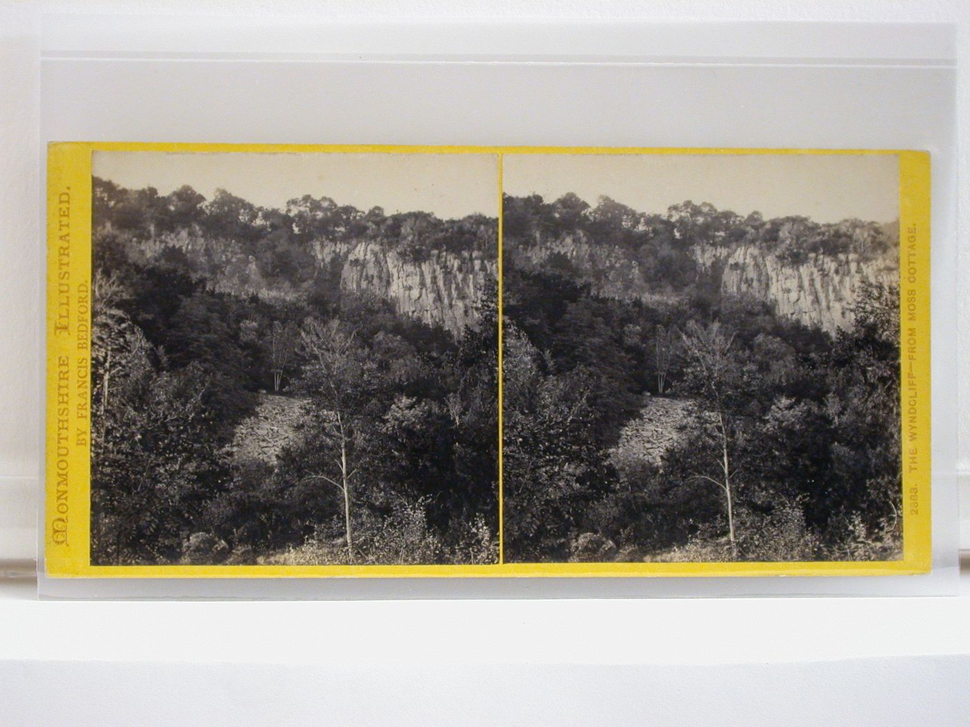 Monmouthshire Illustrated. The Wyndcliff - from Moss Cottage
