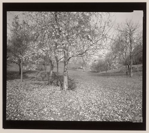 Near entrance, Cherokee Park, Louisville, Kentucky