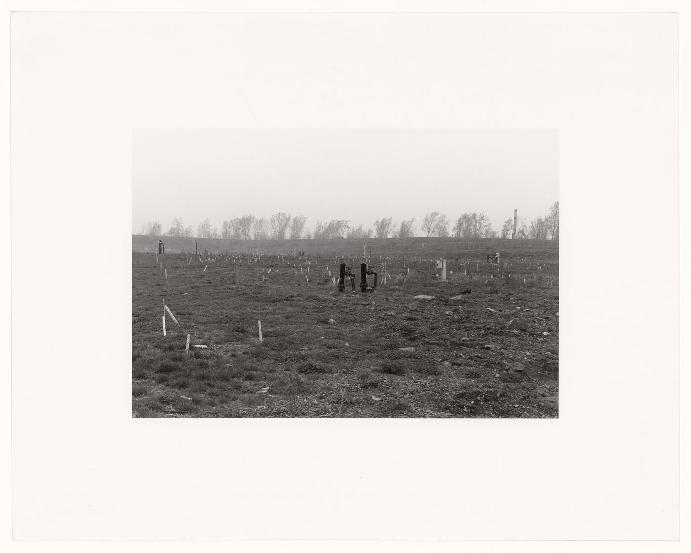 Saint-Michel Environmental Complex: A Landscape in Transformation series #7