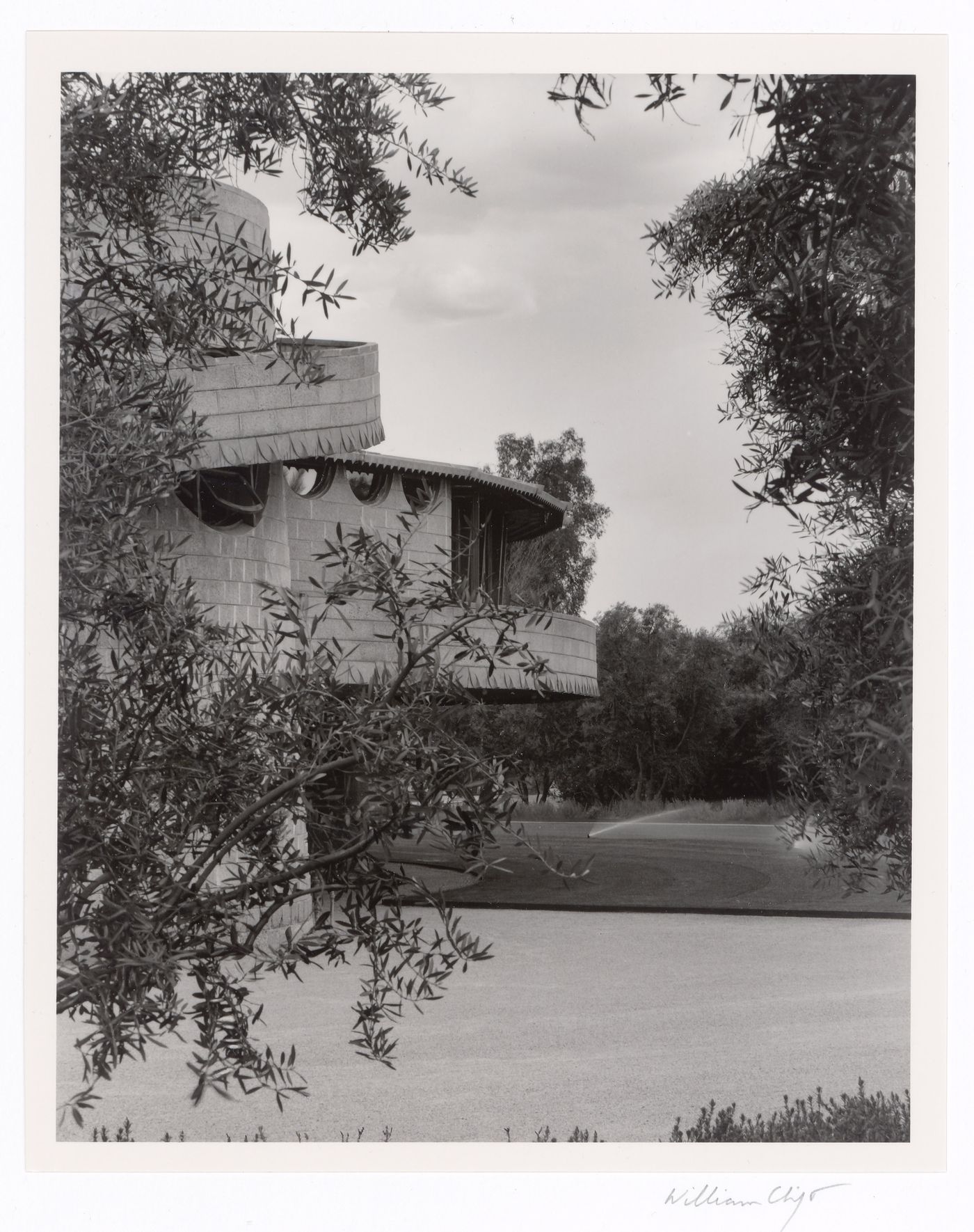 West side through olive trees, from the series The David and Gladys Wright House
