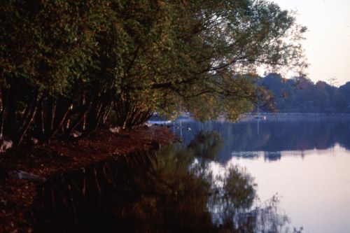 Slide of river landscape for Olmsted: L'origine del parco urbano e del parco naturale contemporaneo
