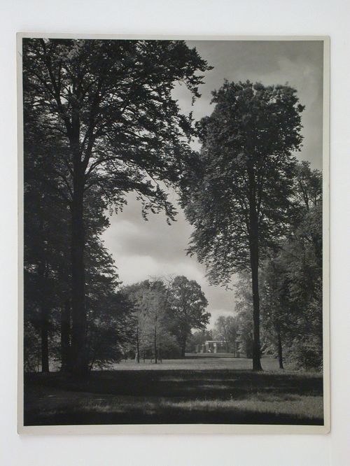 View of a park with Schloss Charlottenhof in the distance, Potsdam, Germany