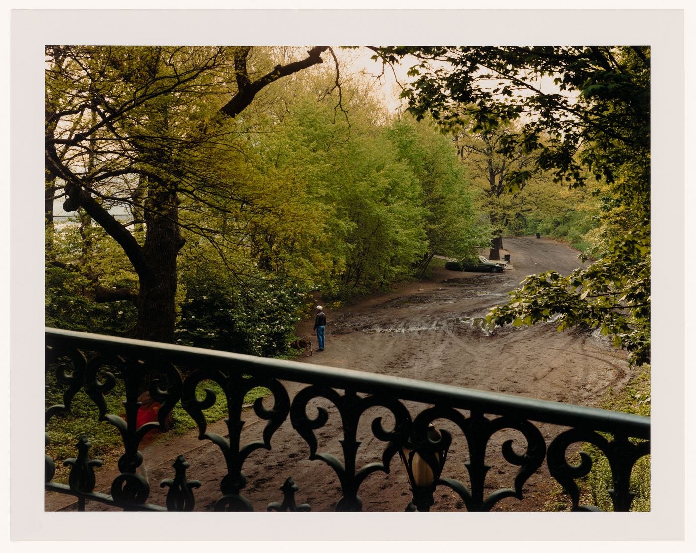 Viewing Olmsted: View of The Bridle Path, Central Park, New York City, New York