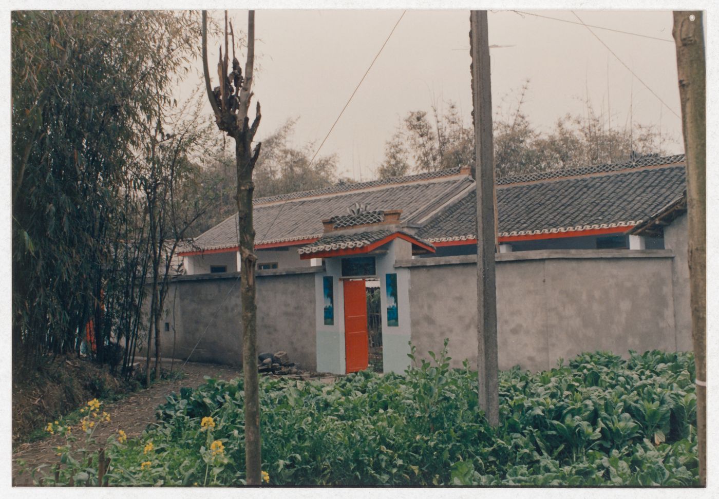 View of cultivated field and rural house in Sichuan province, China