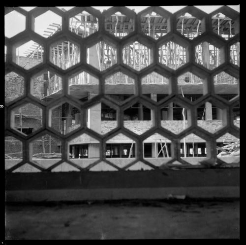 Negative of Punjab Agricultural College in Hisar, India