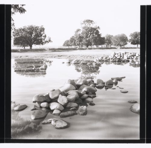 Pond with trees in the background in Chandigarh's area before the construction, India