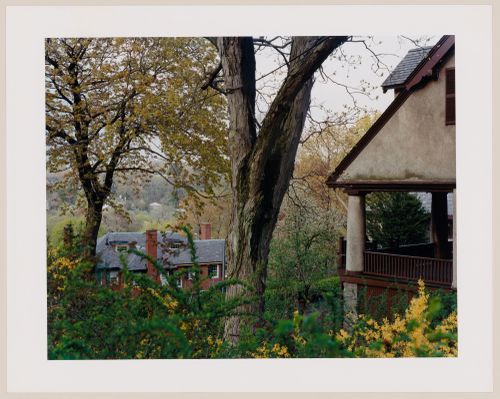 Viewing Olmsted: View of porch and tree, Goddard Subdivision, Fisher Hill, Brooklyn, New York