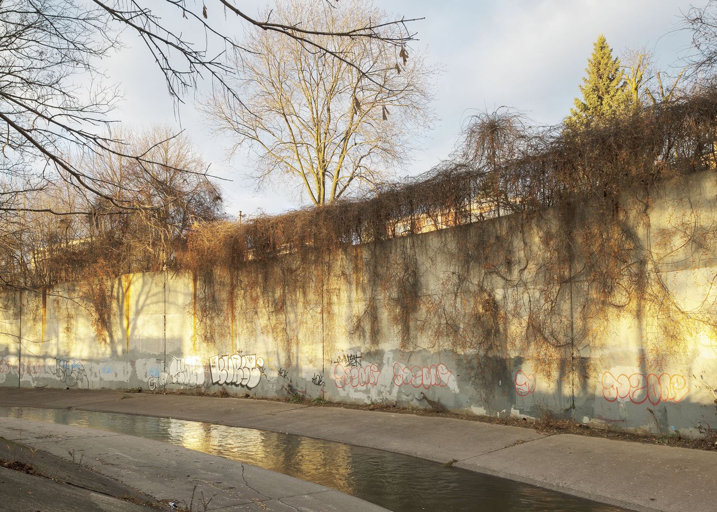 An Enduring Wilderness: Black Creek, Smythe Park, Toronto