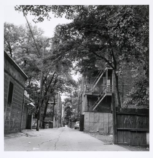 Milton Park Project: Lane between Sainte-Famille and Jeanne-Mance, between Milton and Prince Arthur, Montréal, Québec