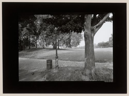 Long Meadow, Prospect Park, Brooklyn, New York City, New York