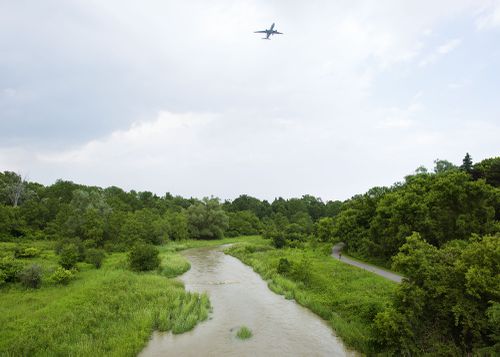 An Enduring Wilderness: West Humber Parkland, Toronto