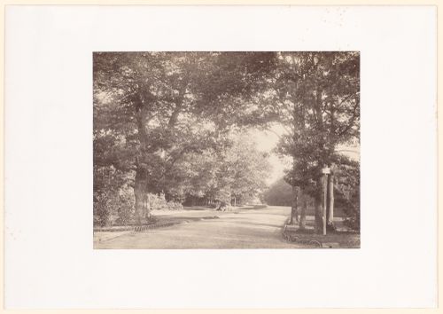 Path between Trees, Bois de Boulogne, Paris, France
