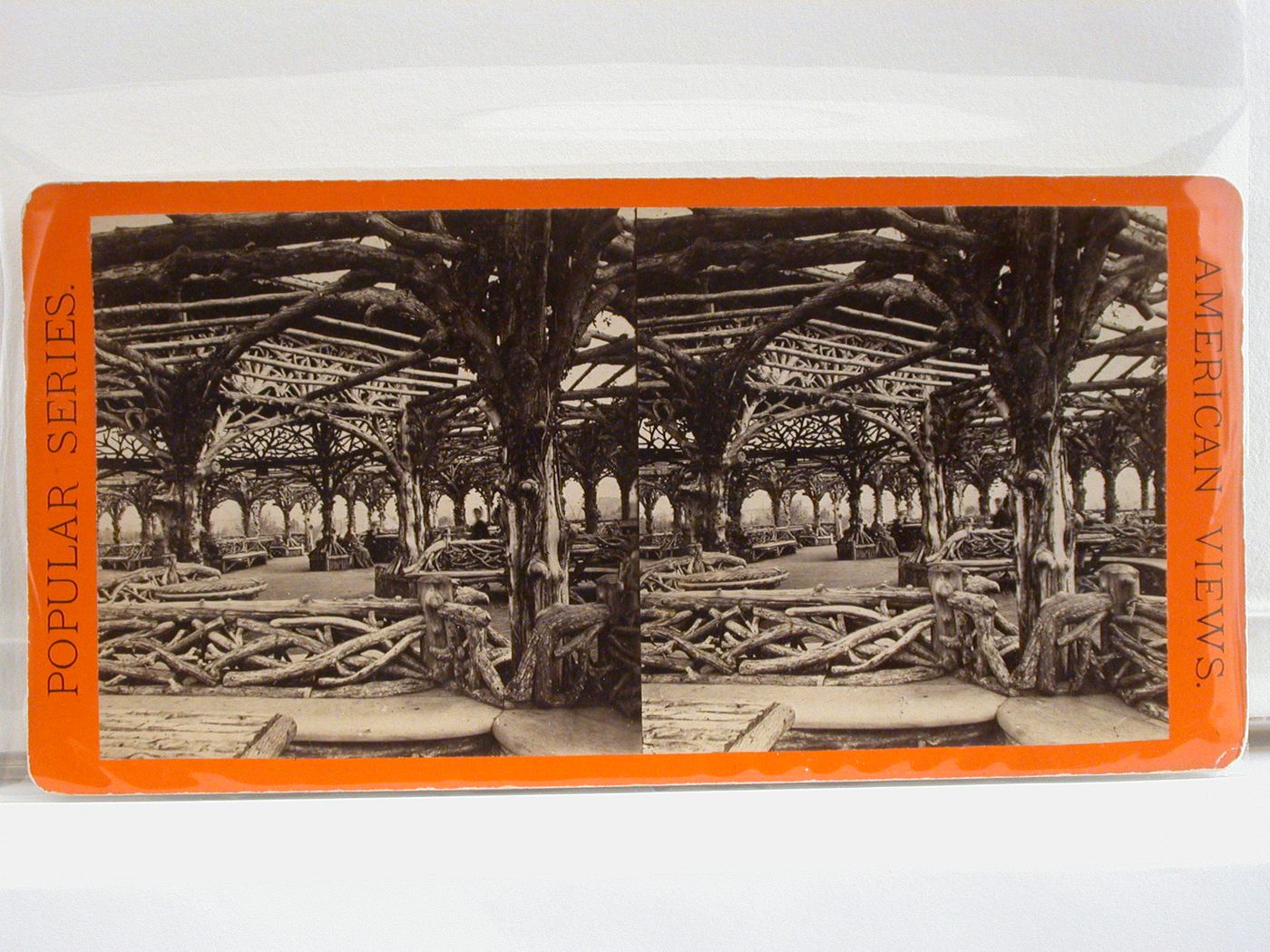 Stereoview of New York City