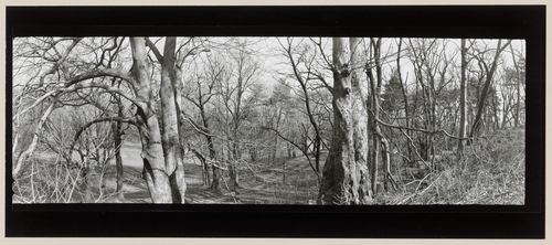 Lookout Hill (panorama), Prospect Park, Brooklyn, New York City, New York