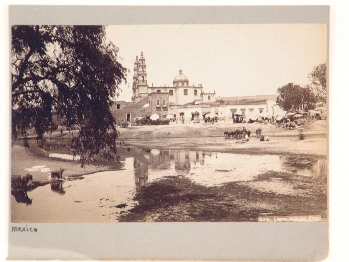 View of a marketplace from across a river with the Cathedral in the background, Lagos de Moreno, Mexico