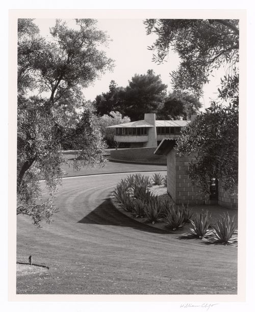 From south through olive trees, from the series The David and Gladys Wright House