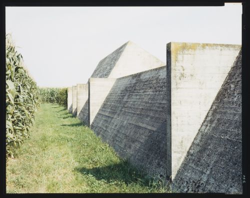 View of the perimeter wall, family tomb and corn stalks, Cimitero Brion, San Vito d'Altivole, near Asolo, Italy