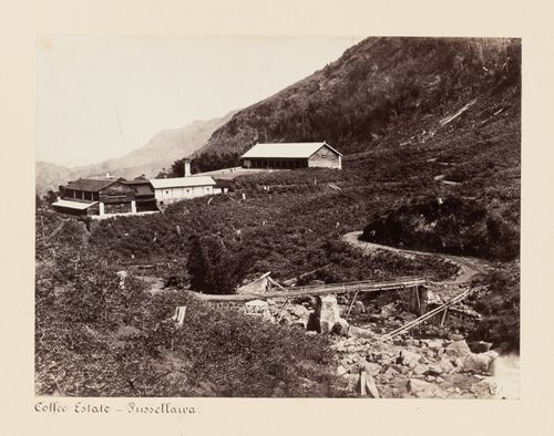 View of a coffee estate with a bridge in the foreground, Pussellawa, Ceylon (now Sri Lanka)