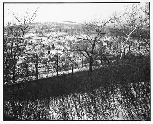 View of Cimetière Notre-Dame des Neiges in winter, 4601 chemin de la Côte-des-Neiges, Montréal, Québec
