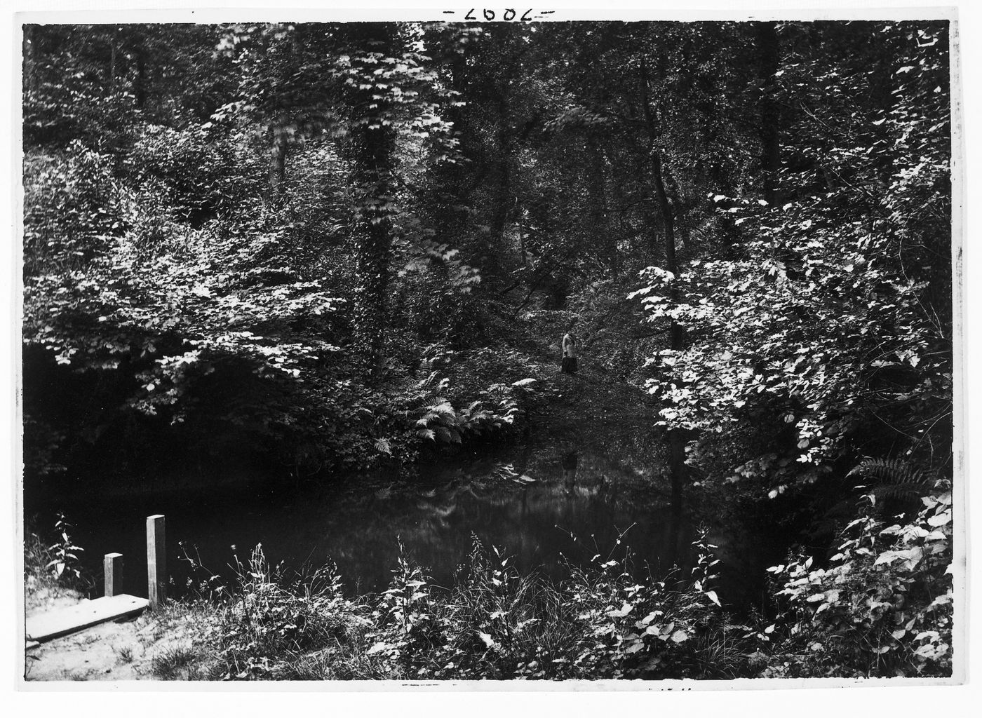 The pool in the wood, Colwyn Bay, Wales