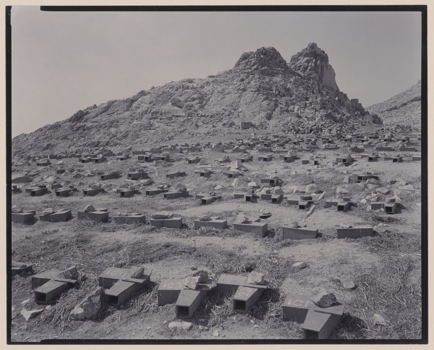 Nesting boxes, The Farallones