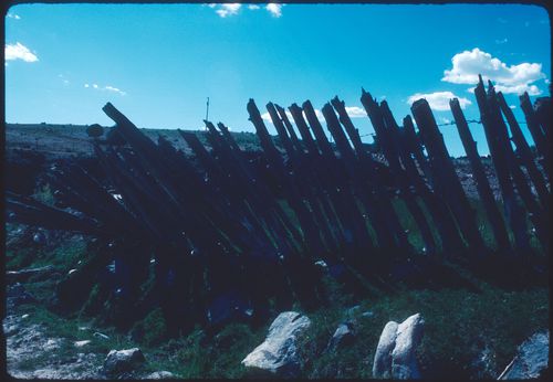 Close-up view of a fence, New Mexico