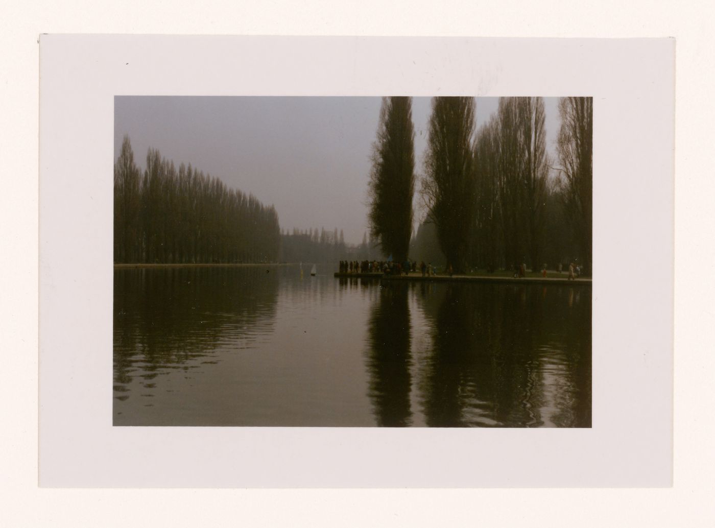 Reflet de peuplier droit, Parc de Sceaux, France