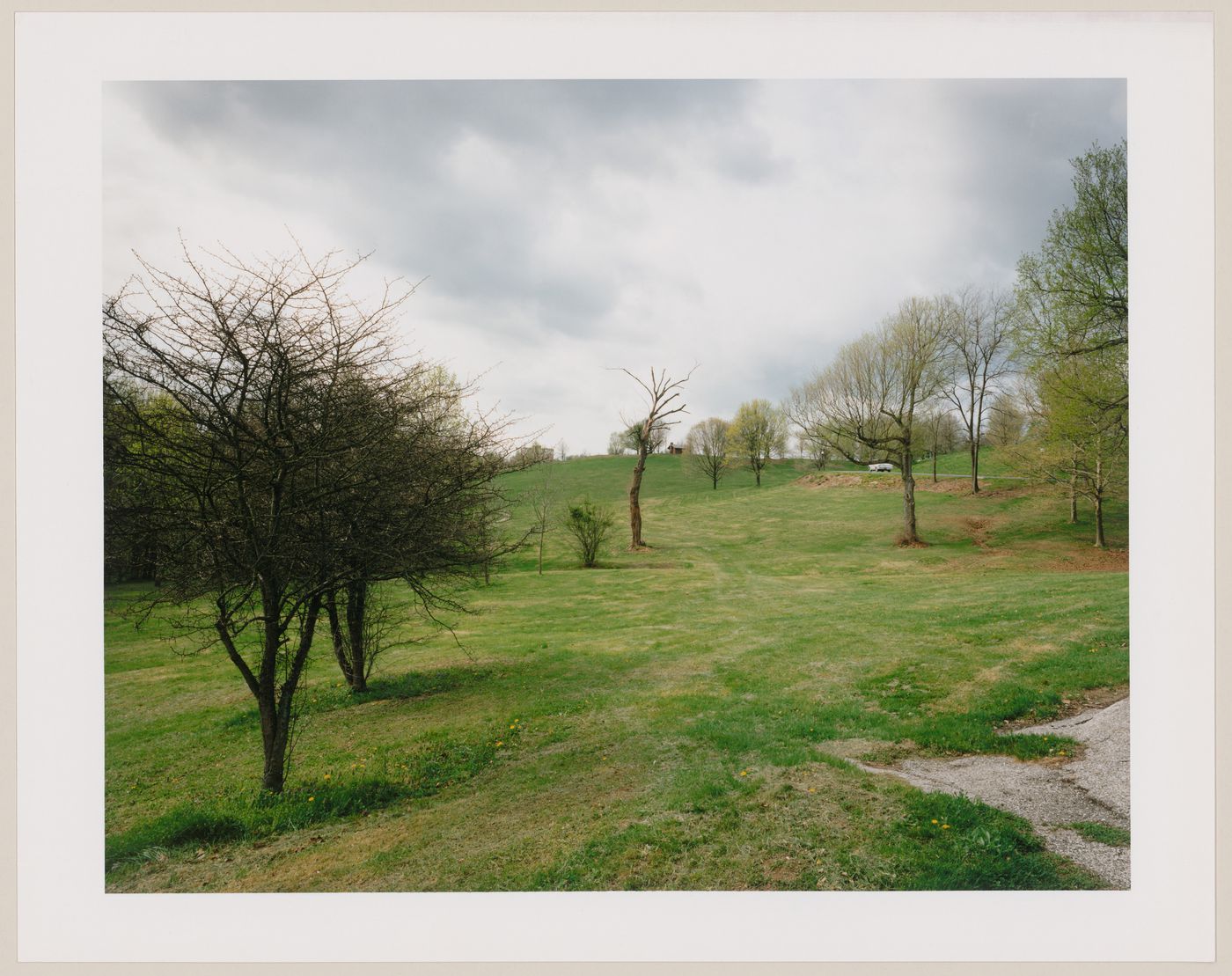 Viewing Olmsted: View looking towards the summit of Hill One, Cherokee Park, Louisville, Kentucky