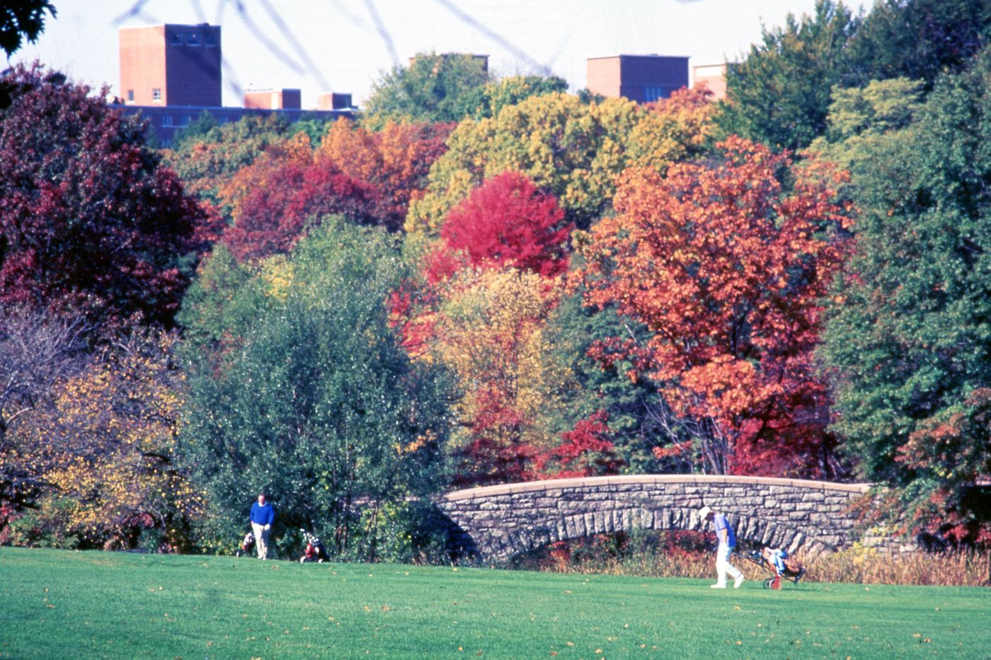 Photograph of golf course for research for Olmsted: L'origine del parco urbano e del parco naturale contemporaneo