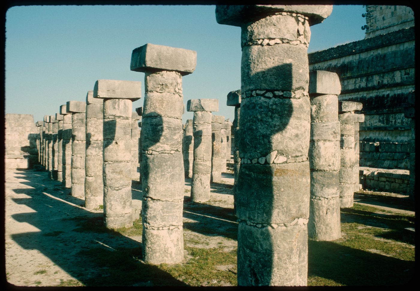 Columns in the Temple of a Thousand Warriors, Chichen Itza, Mexico