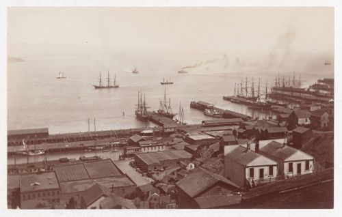 Bay view from Telegraph Hill,  San Francisco, California