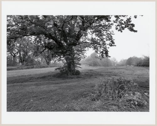 Buffalo South, New York