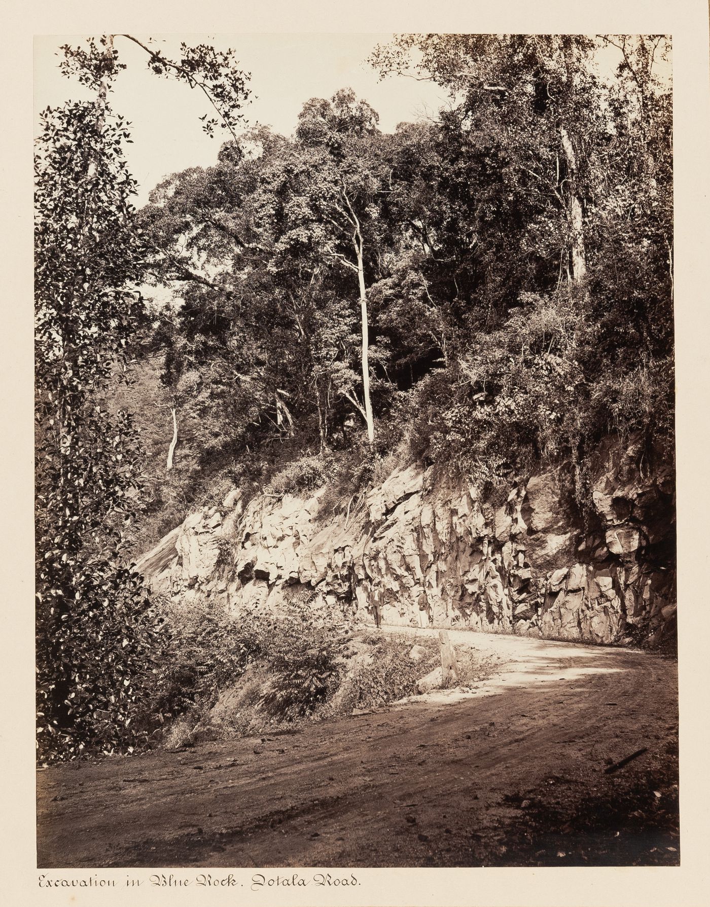 View of Dotala Road, Ceylon (now Sri Lanka)