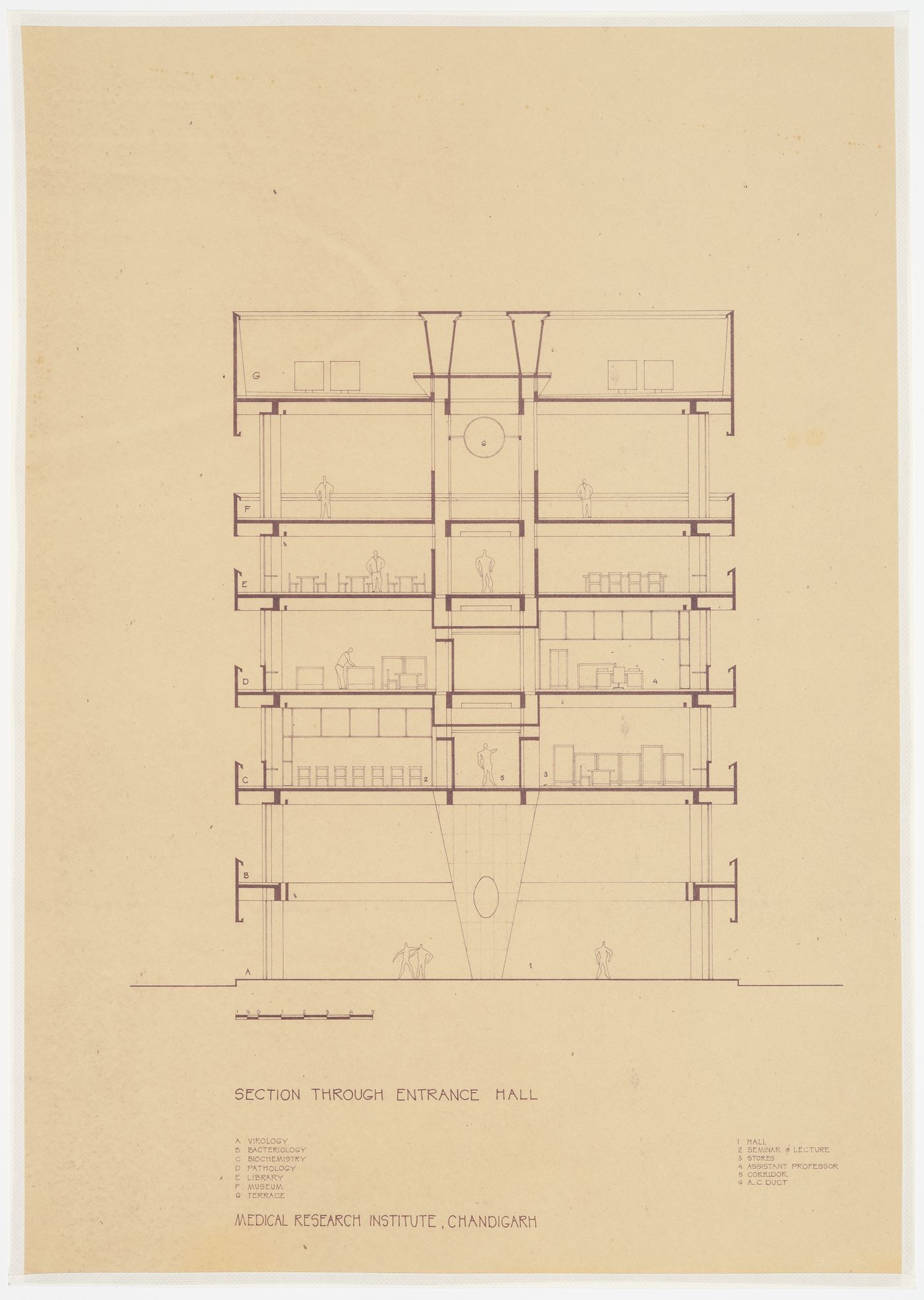 Section through Entrance Hall, Medical Research Institute, Chandigarh, India