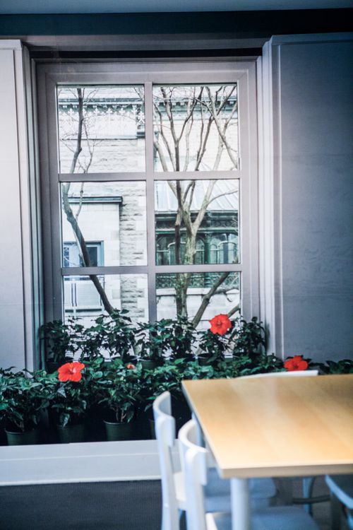 Image from the artist's book "Uncollected at CCA"