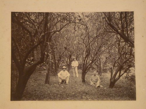 View of three men in a wooded area